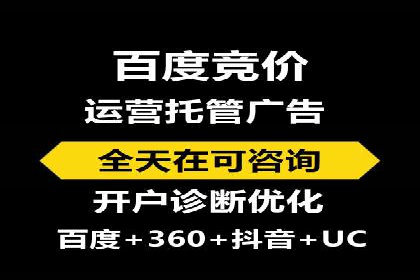XX领域竞价广告的投放策略及效果展示